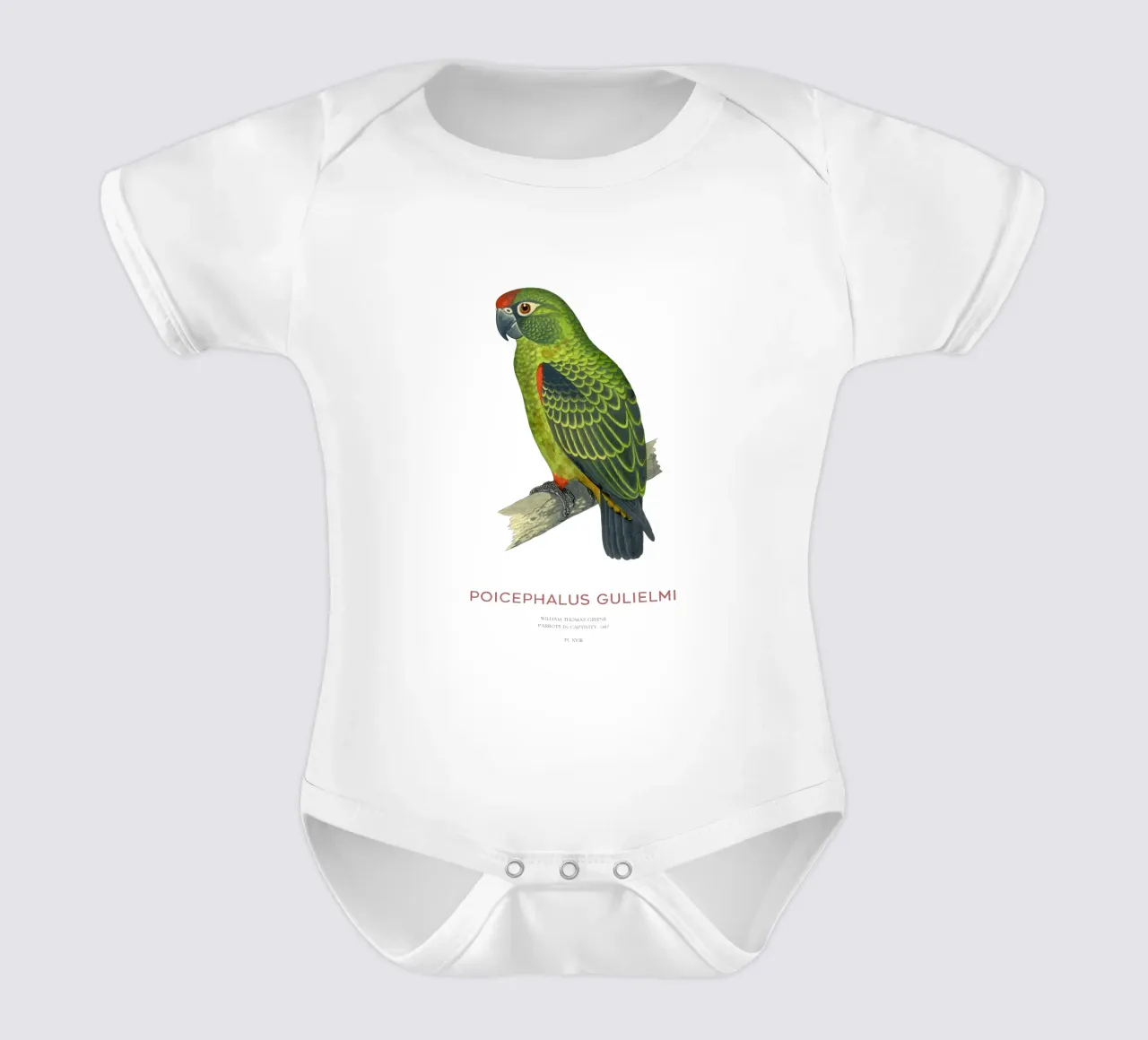 Rotstirnpapagei oder Poicephalus gulielmi Kurzarm Babybody von Vintagrafica