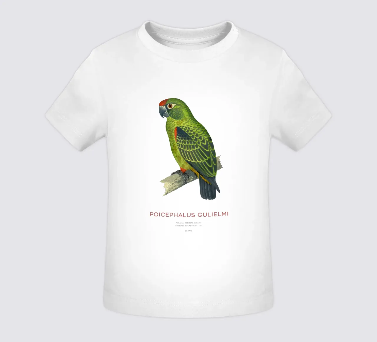 Pappagallo dalla fronte rossa o Poicephalus gulielmi maglietta neonato da Vintagrafica