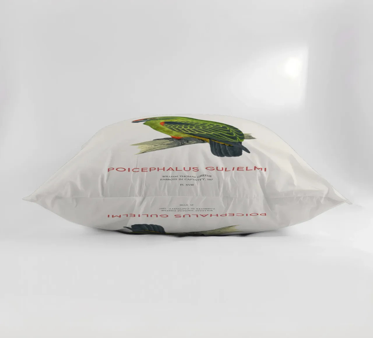 Pappagallo dalla fronte rossa o Poicephalus gulielmi cuscino da Vintagrafica