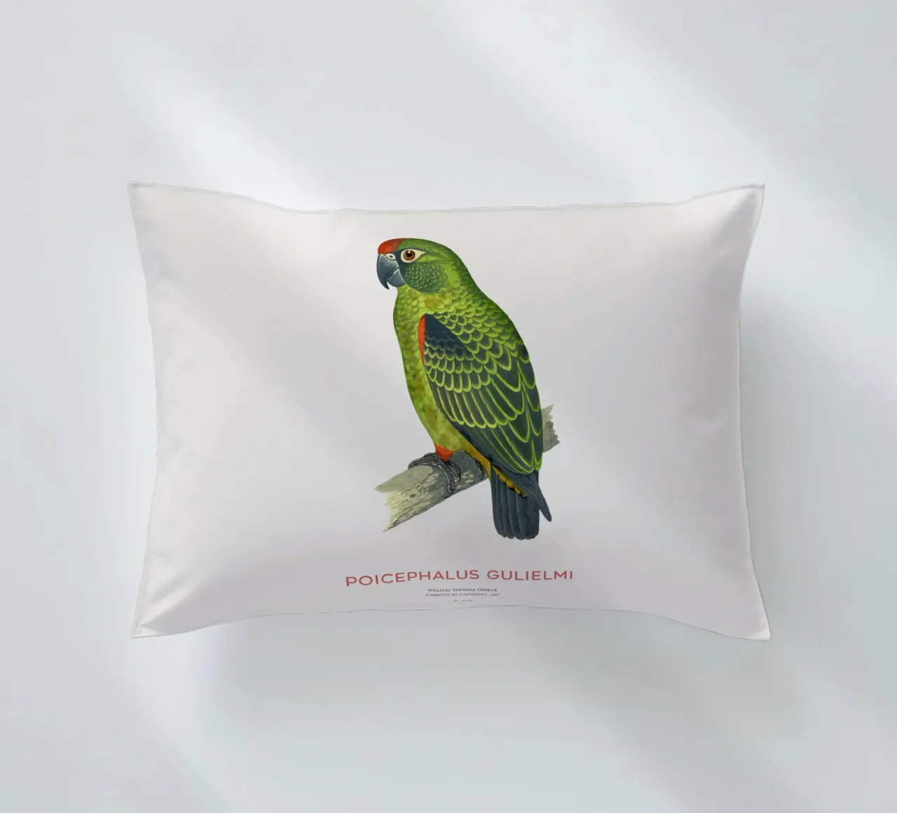 Pappagallo dalla fronte rossa o Poicephalus gulielmi cuscino da Vintagrafica
