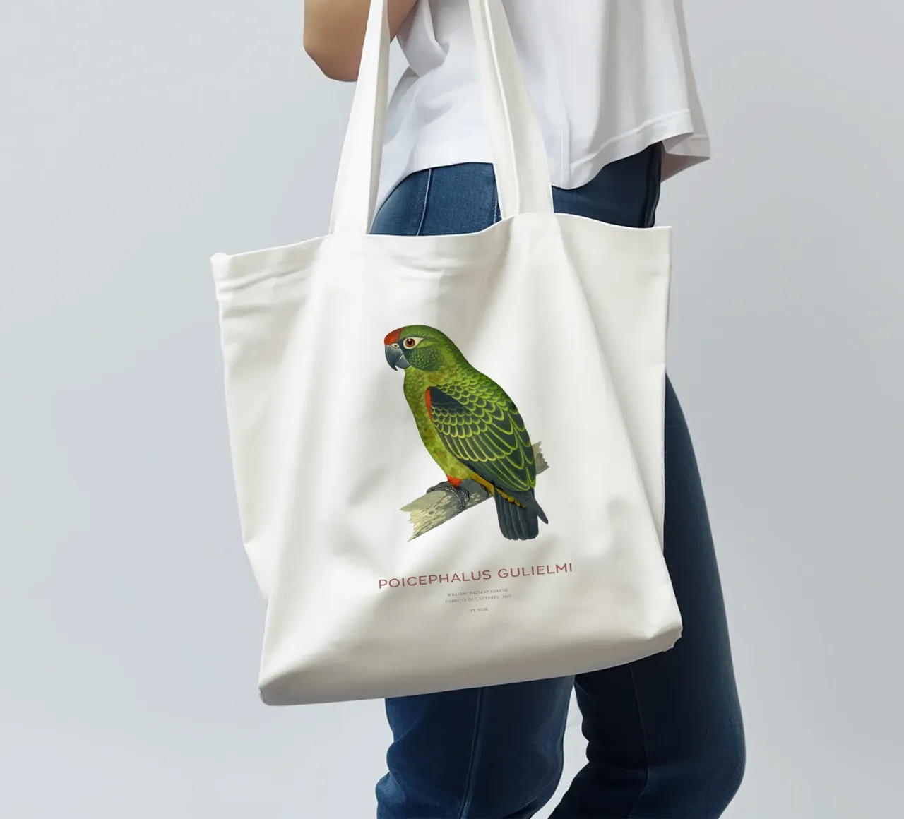 Pappagallo dalla fronte rossa o Poicephalus gulielmi borsa in juta da Vintagrafica