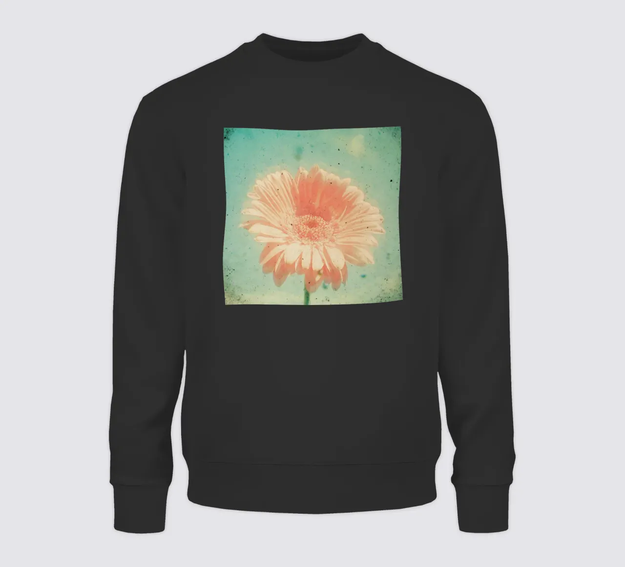 Gerbera felpa da Cassia Beck Photography