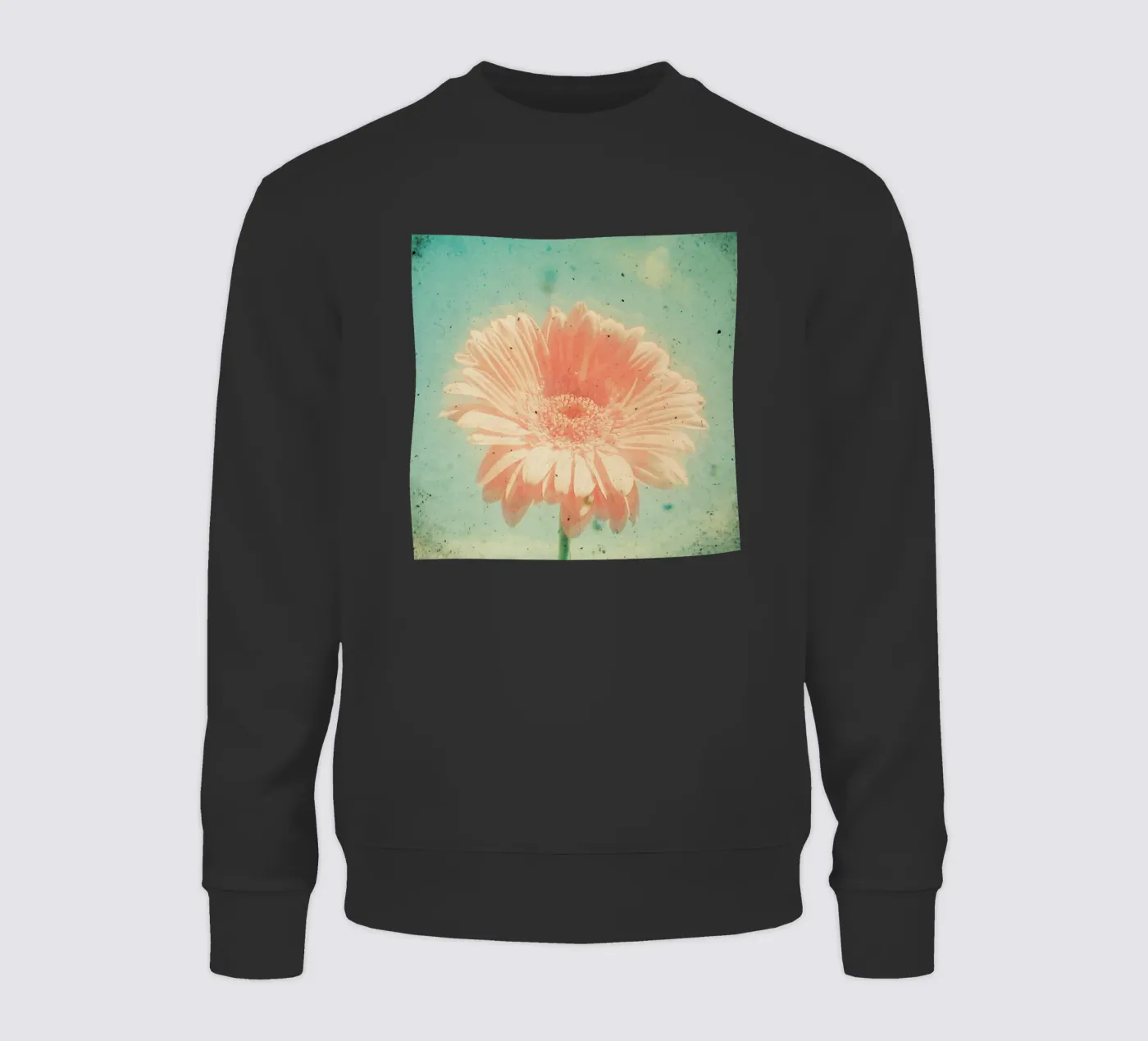 Gerbera felpa da Cassia Beck Photography