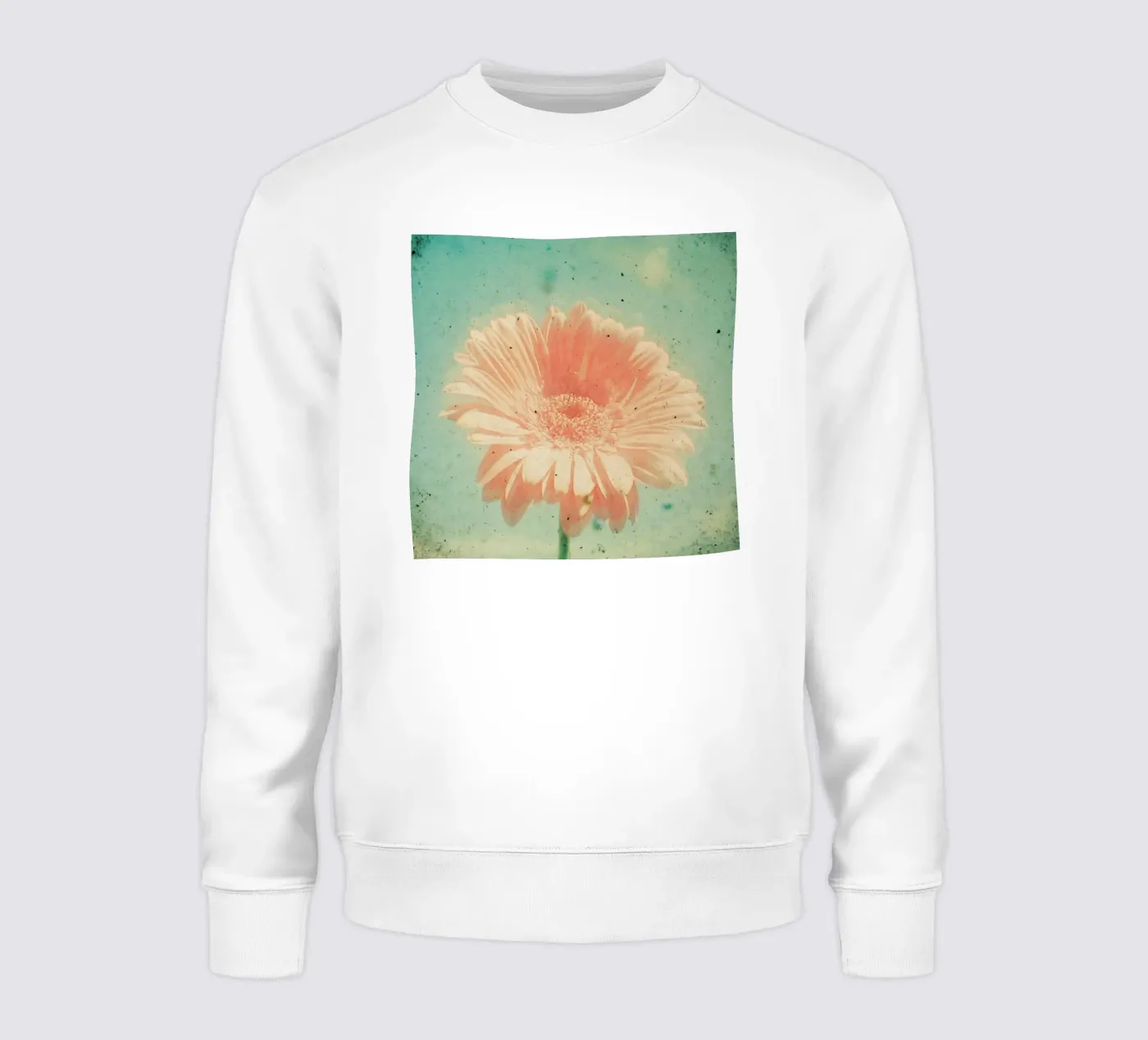 Gerbera felpa da Cassia Beck Photography
