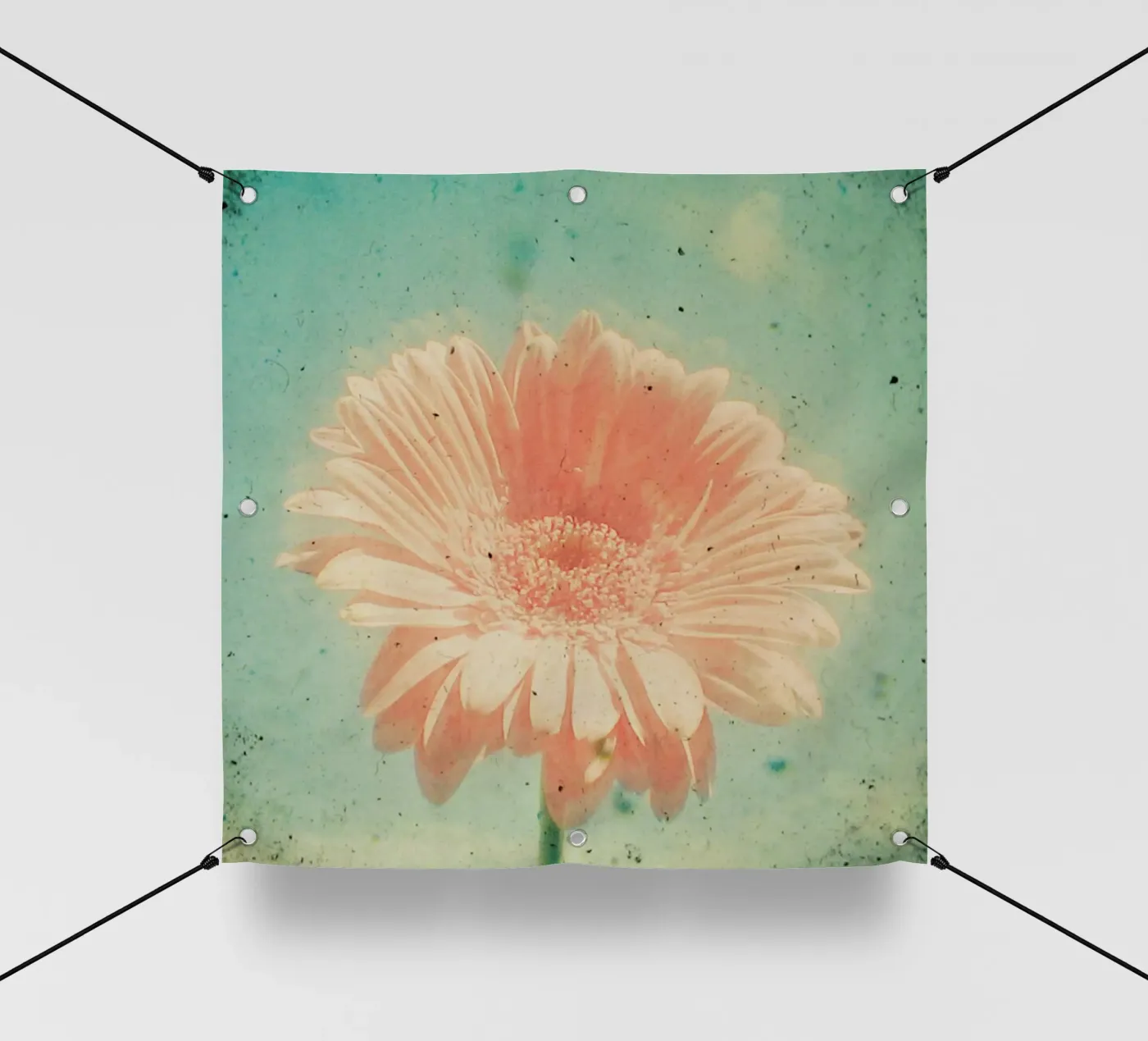 Gerbera telo in pvc da Cassia Beck Photography