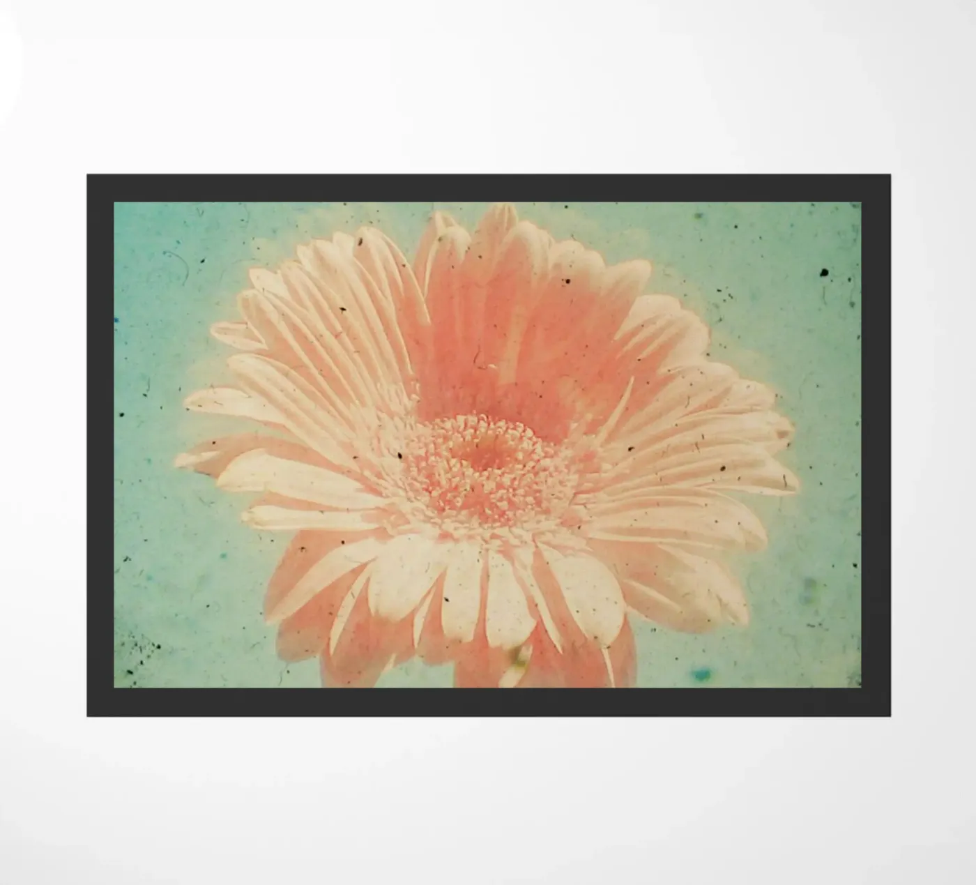 Gerbera doormat by Cassia Beck Photography