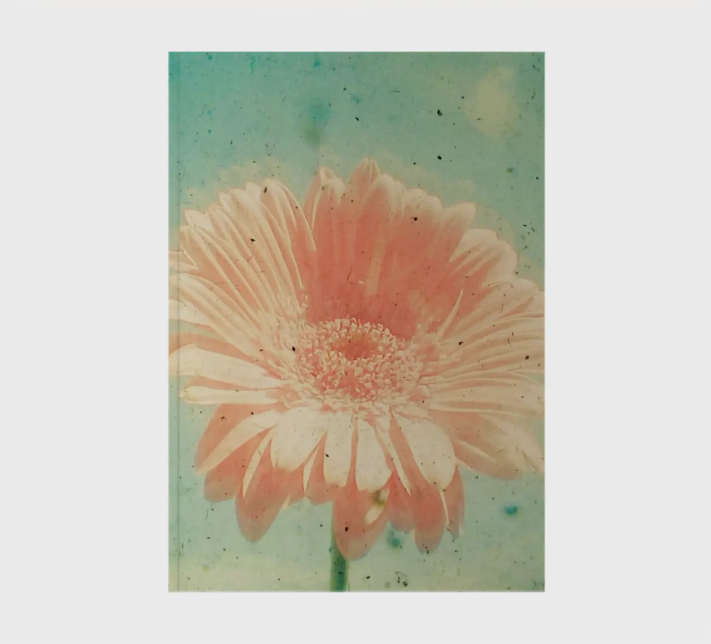 Gerbera notebook by Cassia Beck Photography