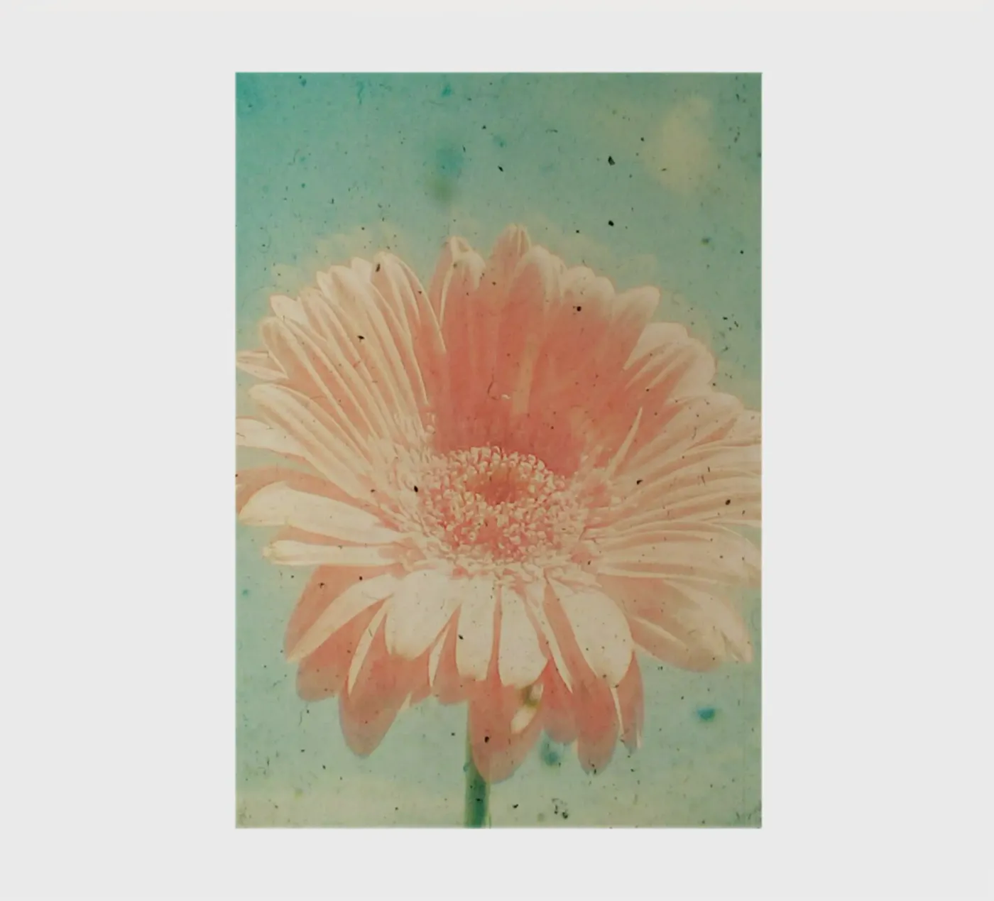 Gerbera notebook by Cassia Beck Photography