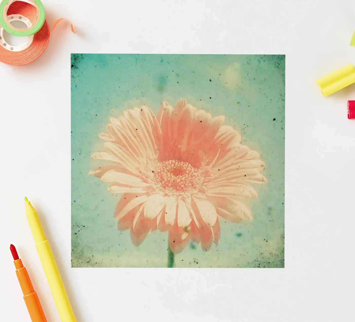Gerbera Sticker von Cassia Beck Photography