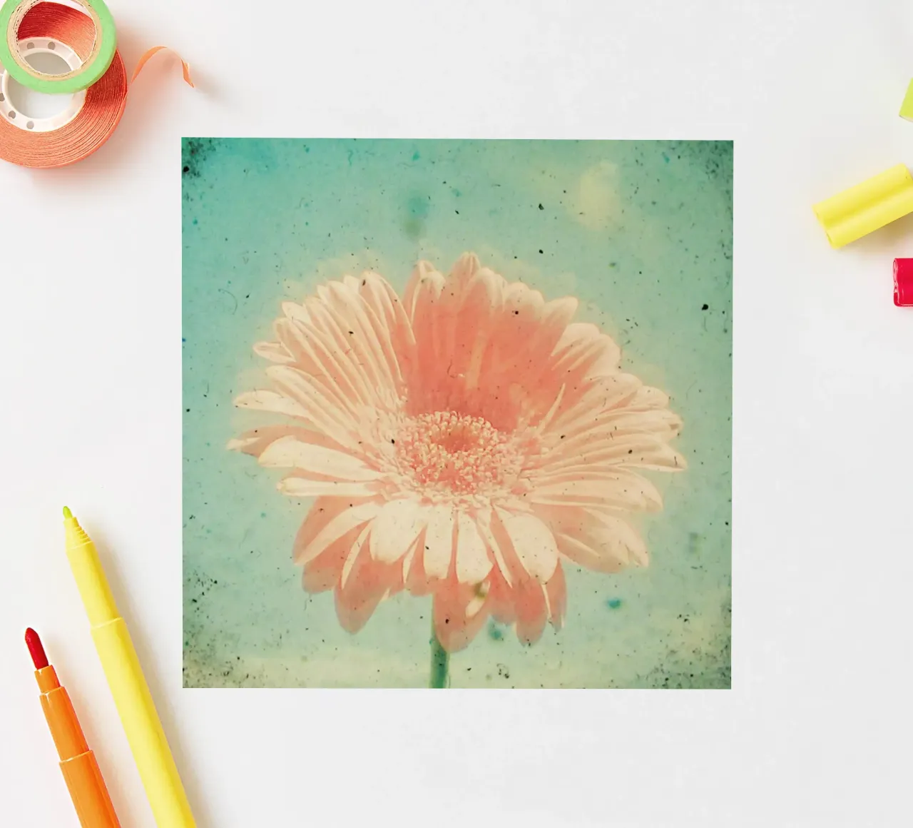 Gerbera sticker van Cassia Beck Photography