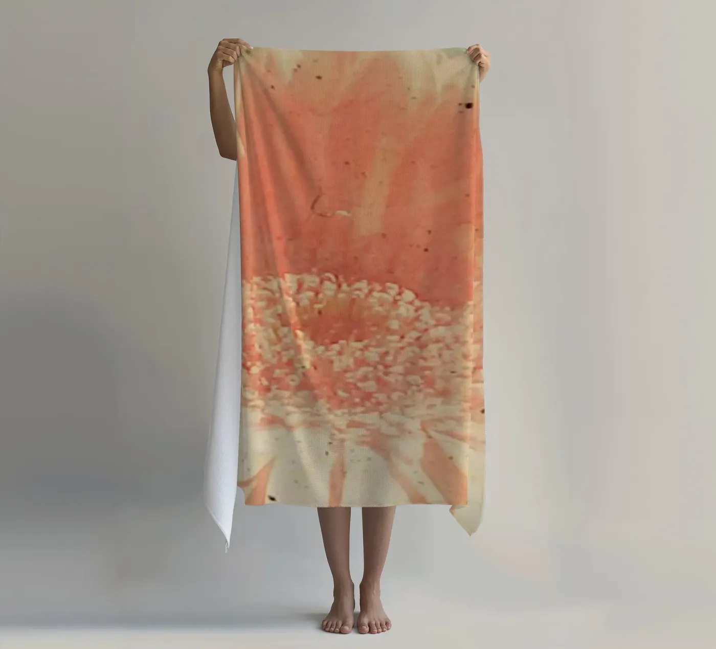 Gerbera telo mare da Cassia Beck Photography