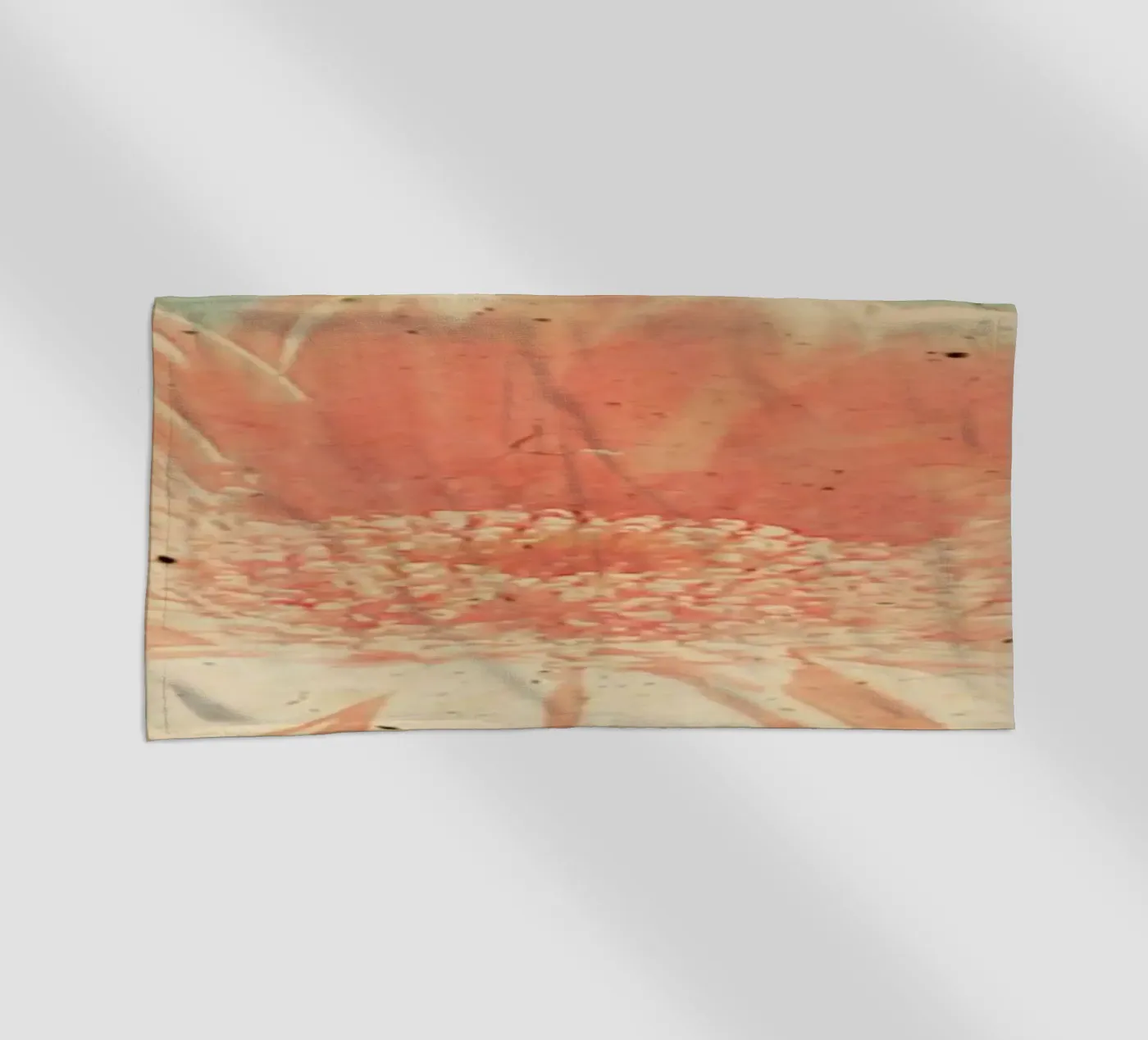 Gerbera telo mare da Cassia Beck Photography