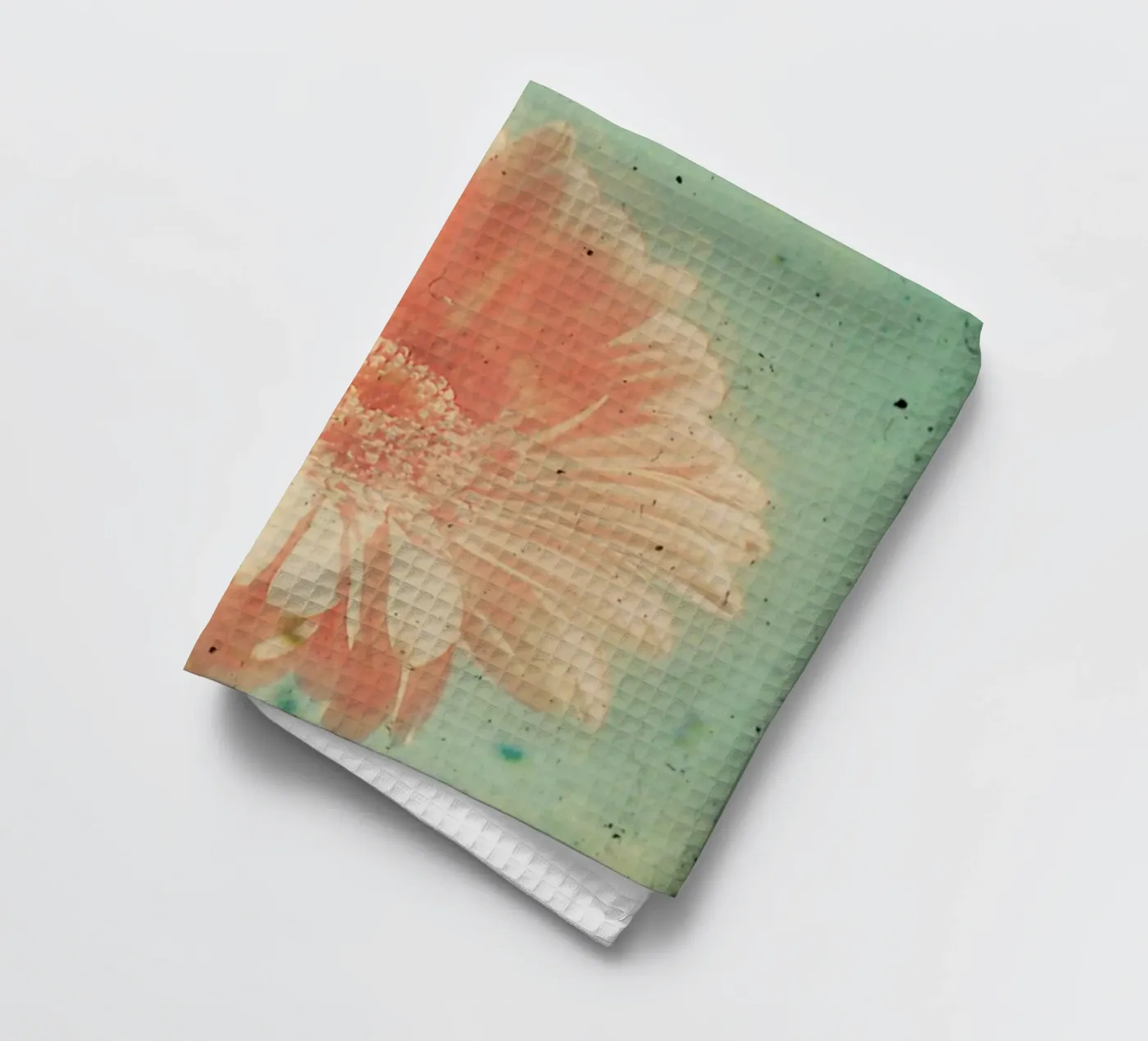 Gerbera torchon de Cassia Beck Photography