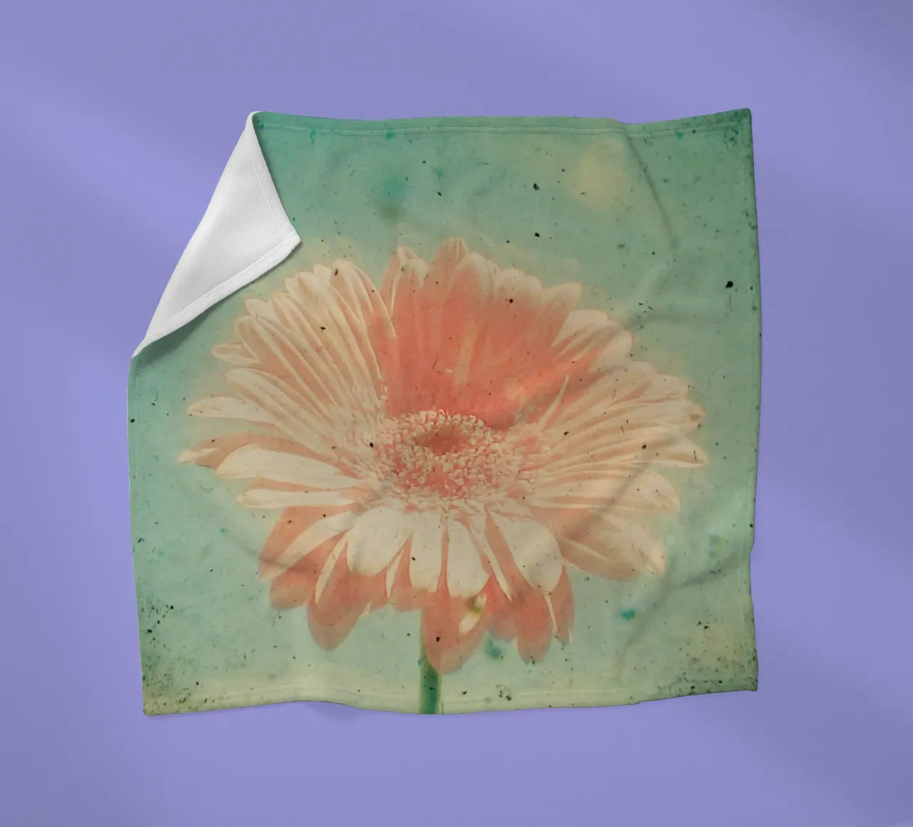 Gerbera coperta in pile da Cassia Beck Photography