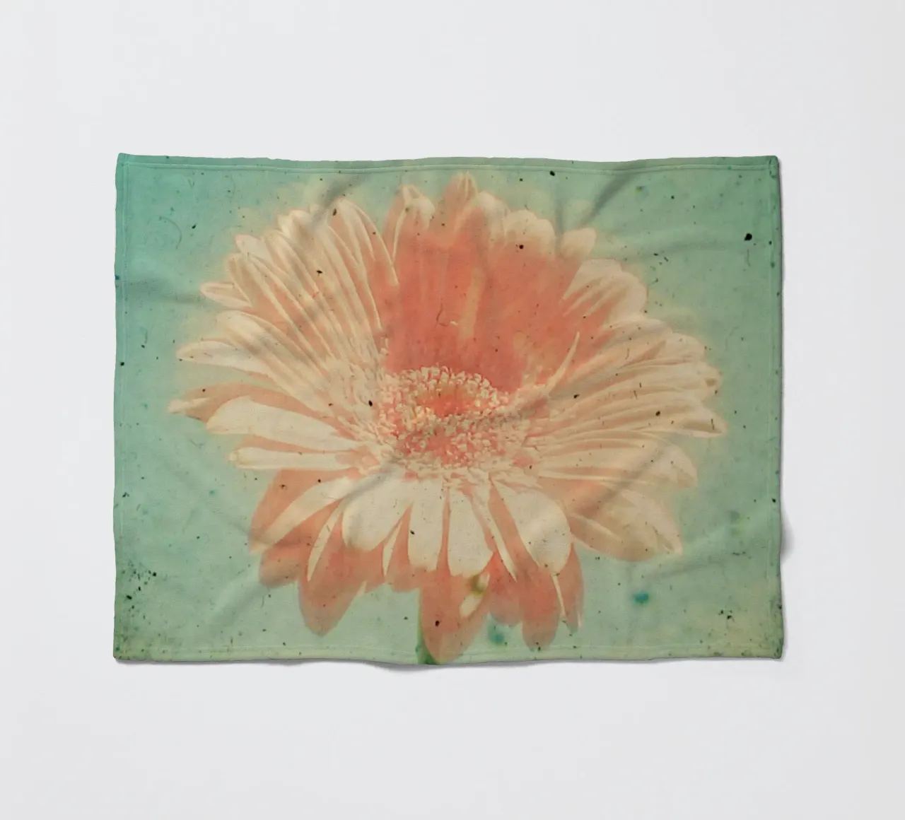 Gerbera coperta in pile da Cassia Beck Photography