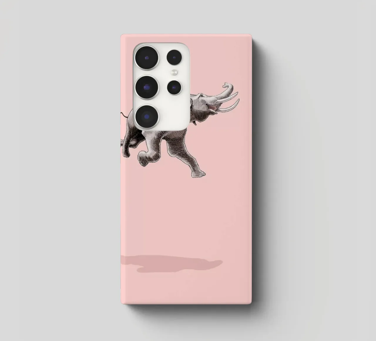 Float Like a Bird cover samsung da Jason Ratliff