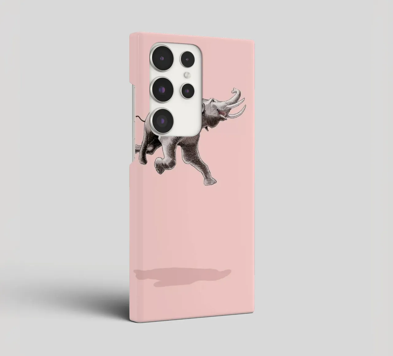 Float Like a Bird cover samsung da Jason Ratliff