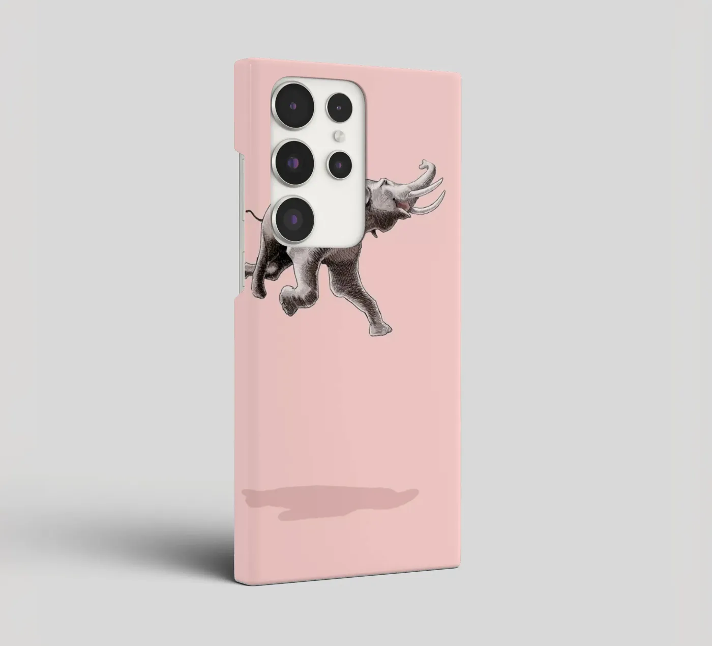 Float Like a Bird cover samsung da Jason Ratliff