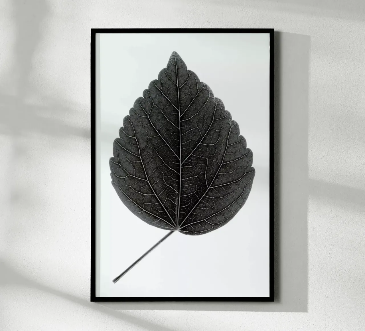 Look Closer Hibiscus Black poster con telaio in alluminio da Studio Nahili