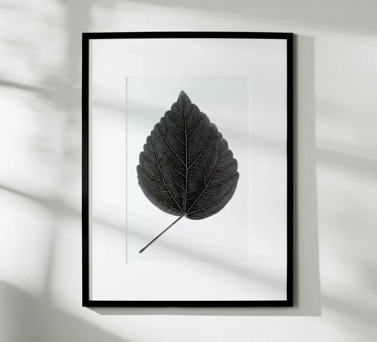 Look Closer Hibiscus Black poster con telaio in alluminio da Studio Nahili