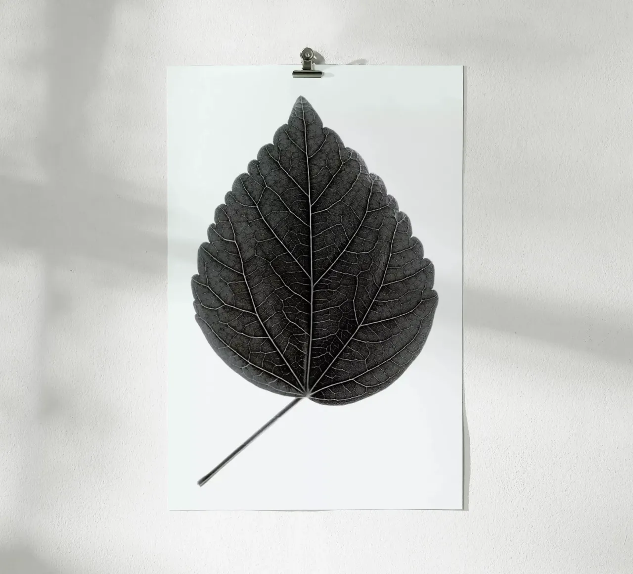 Look Closer Hibiscus Black poster con telaio in alluminio da Studio Nahili