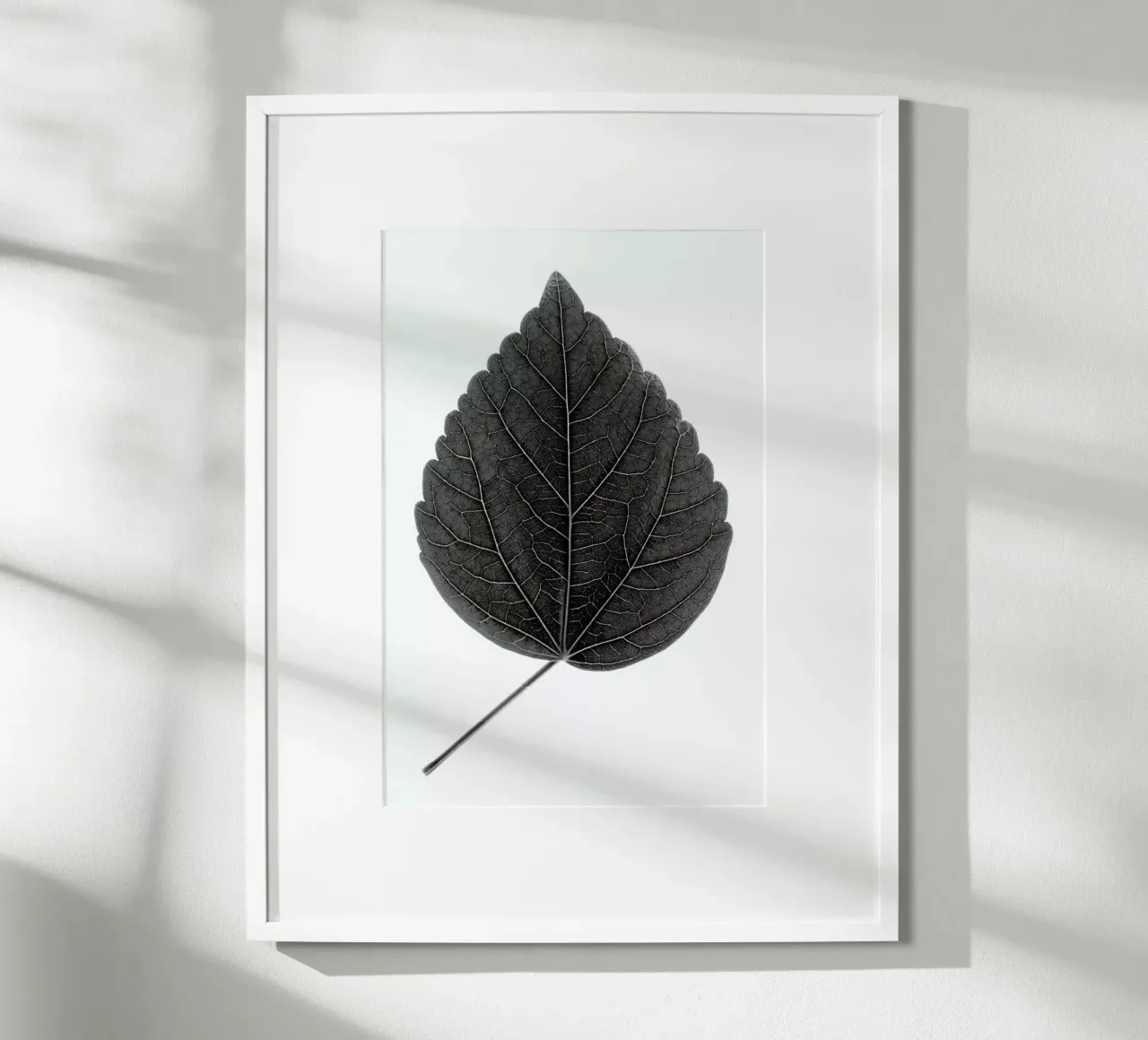 Look Closer Hibiscus Black poster con telaio in alluminio da Studio Nahili