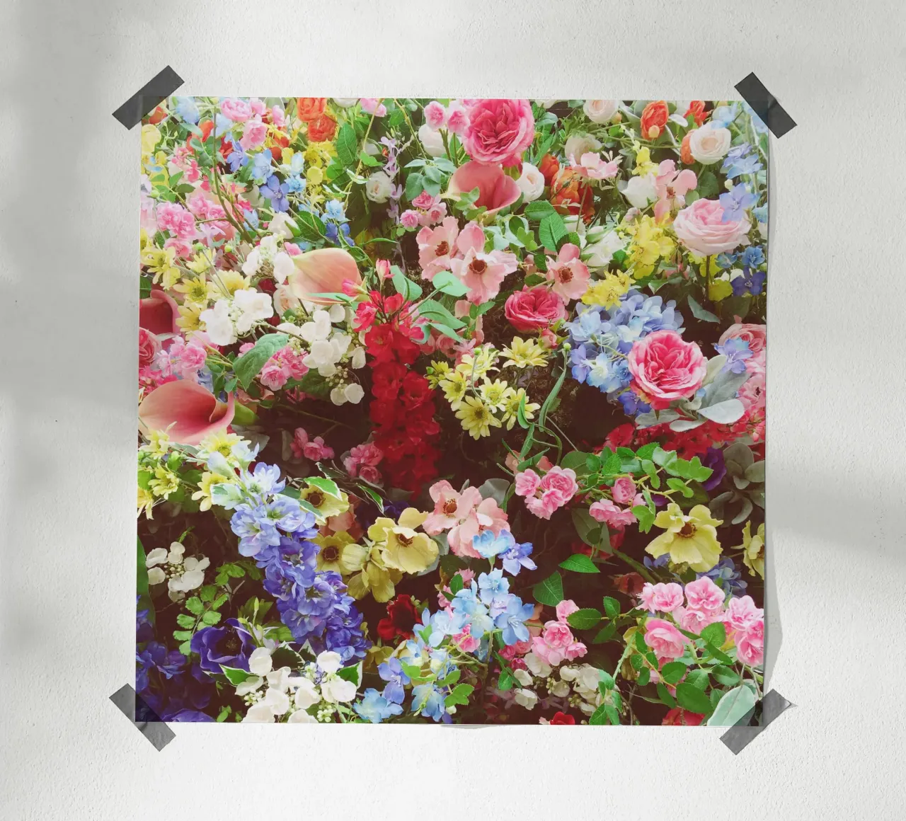 Blumenexplosion Poster von Cassia Beck Photography