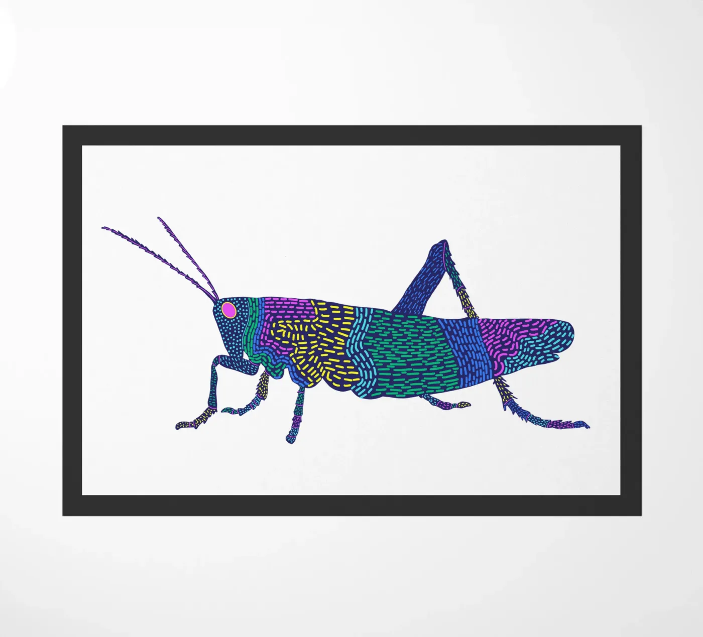 Grashüpfer zerbino da Miris bunte Modewelt