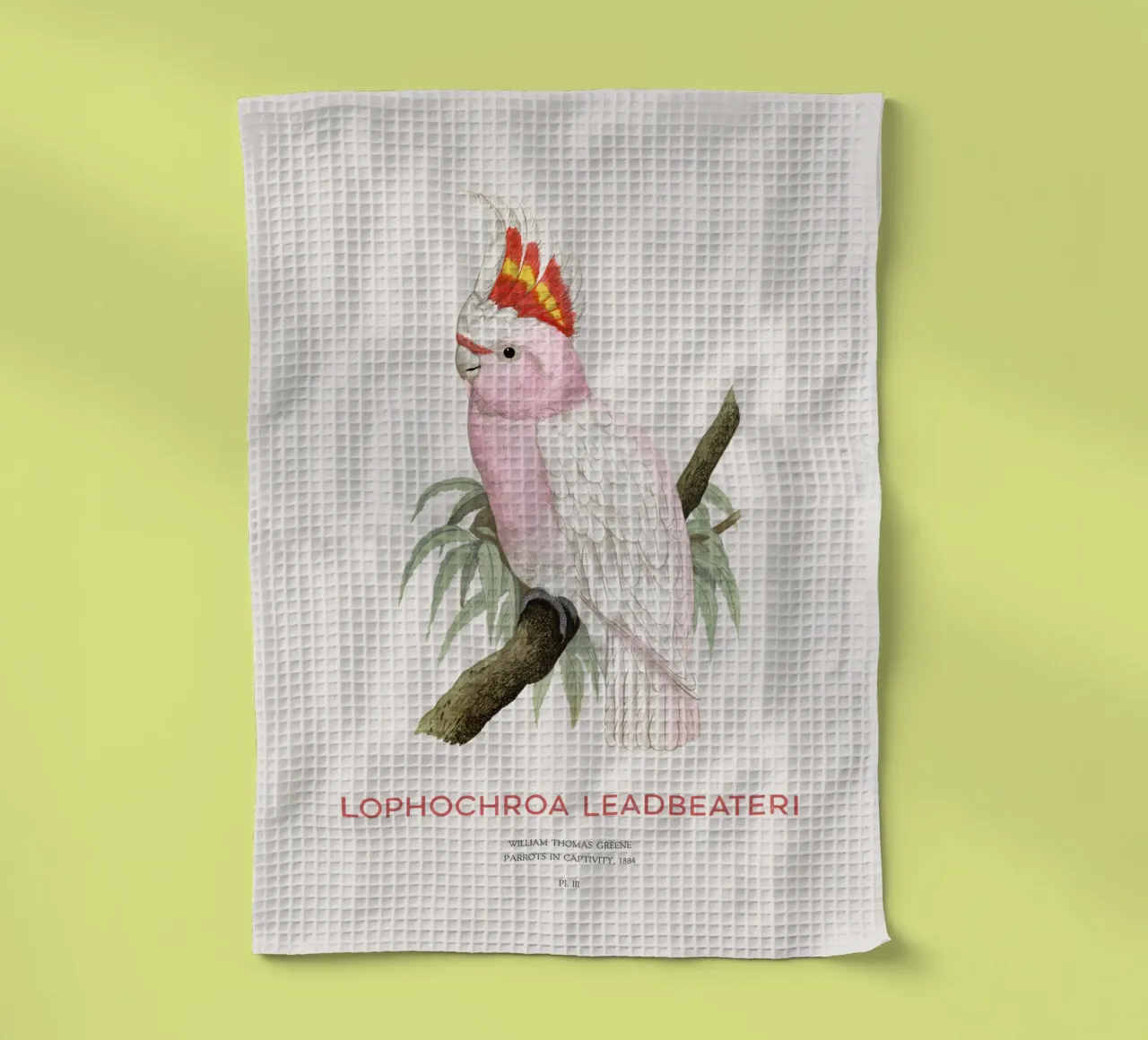 Rosa Kakadu oder Lophochroa leadbeateri Geschirrtuch von Vintagrafica