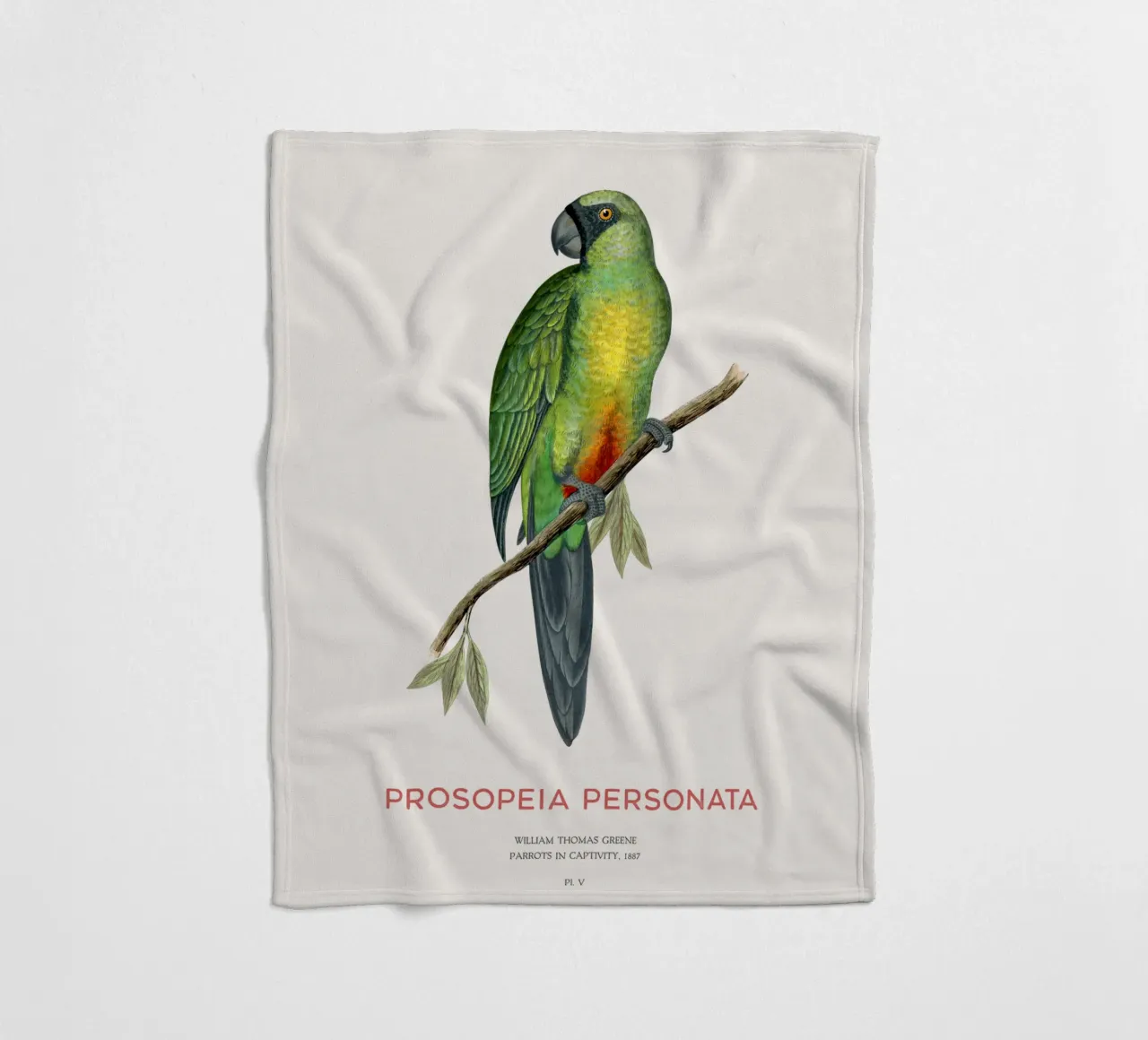 Pappagallo splendente mascherato o Prosopeia personata coperta in pile da Vintagrafica