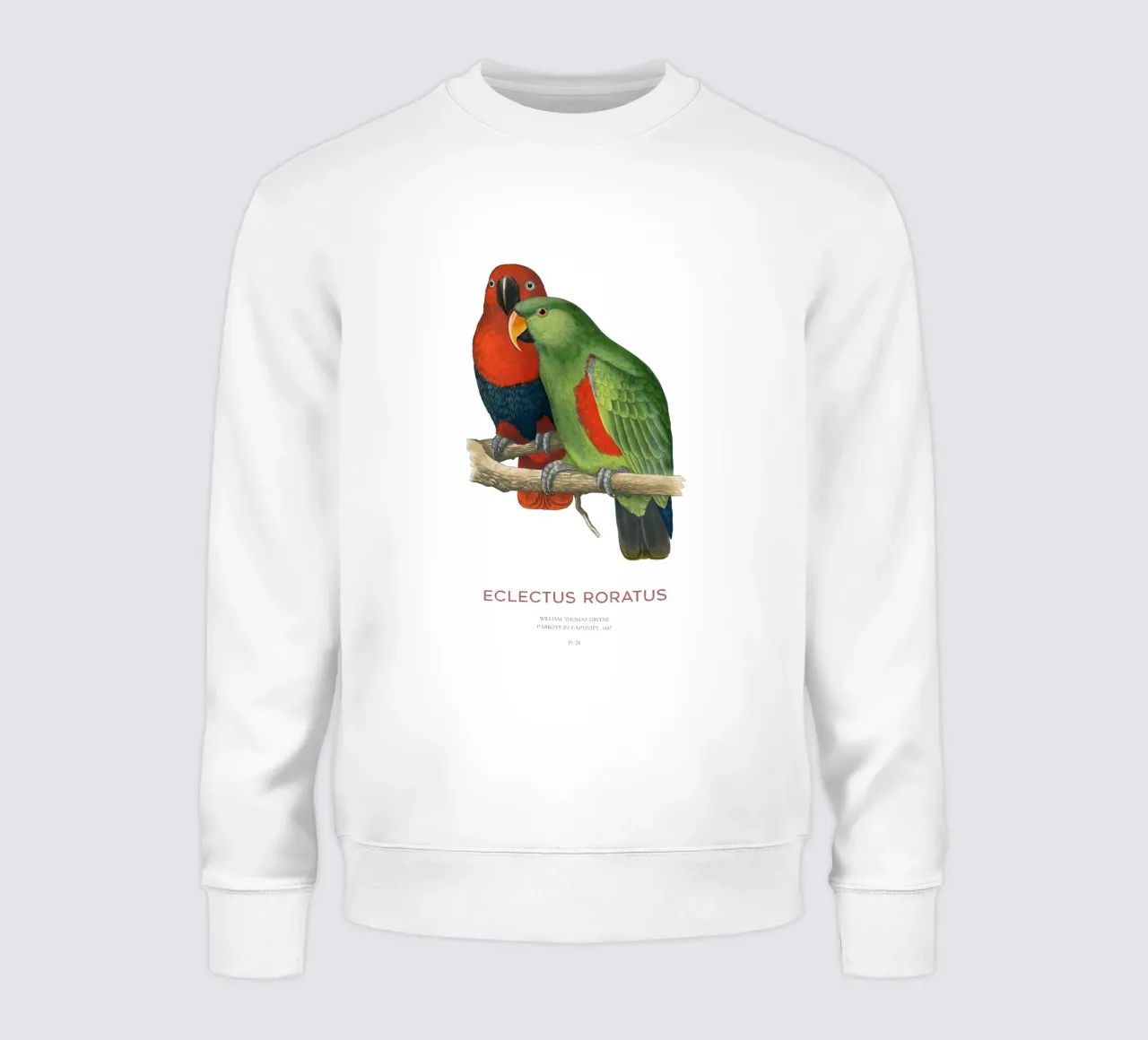 Ecletto delle Molucche o Eclectus roratus felpa da Vintagrafica