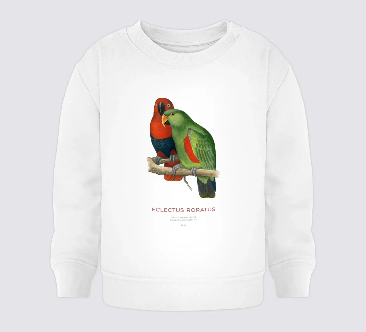 Ecletto delle Molucche o Eclectus roratus felpa neonato da Vintagrafica