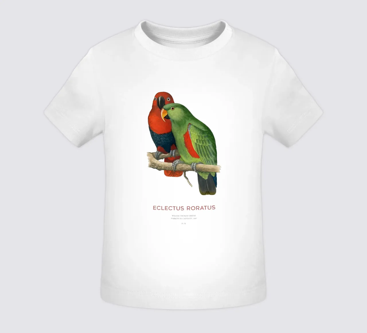 Ecletto delle Molucche o Eclectus roratus maglietta neonato da Vintagrafica