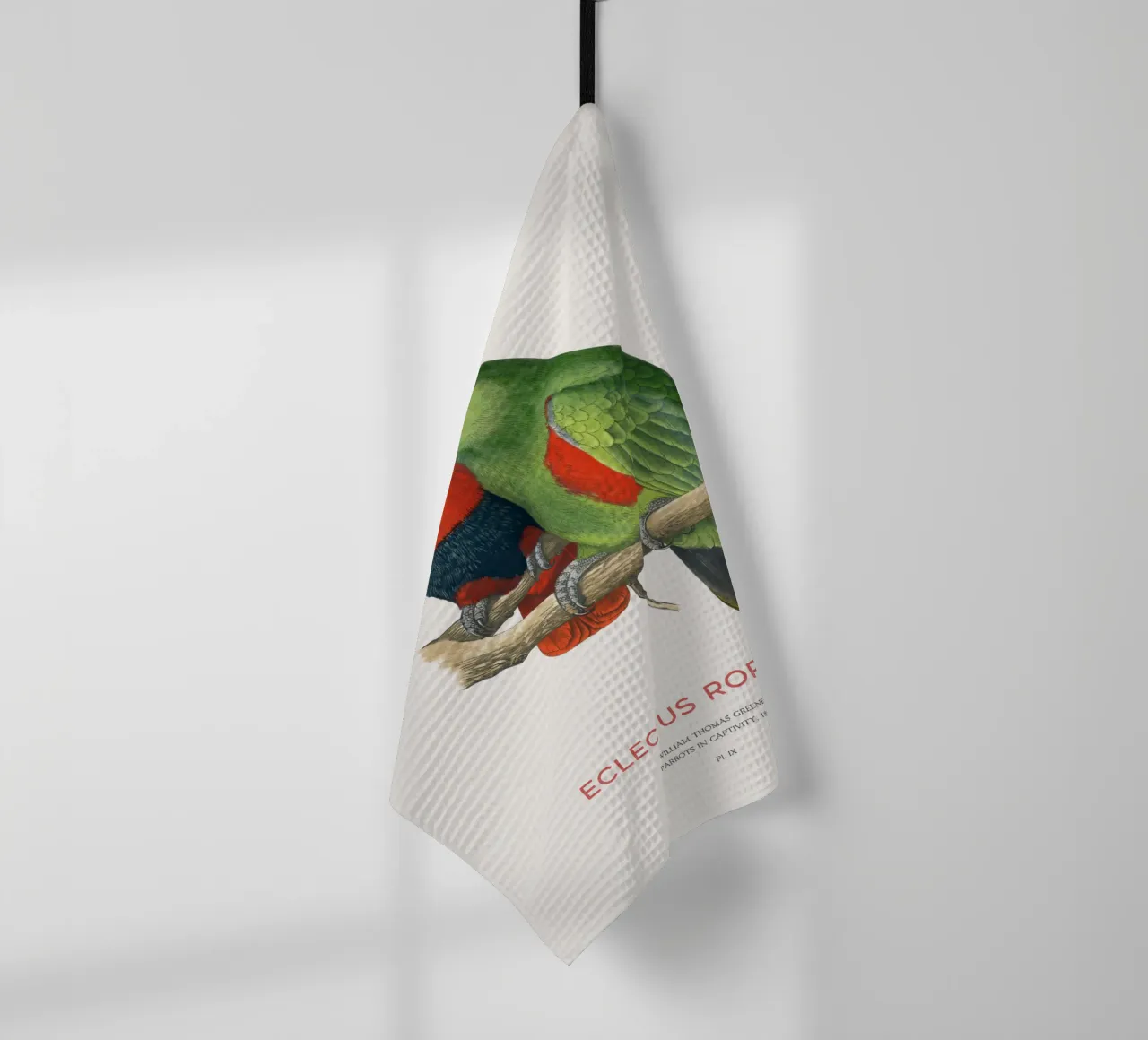 Ecletto delle Molucche o Eclectus roratus canovaccio da cucina da Vintagrafica